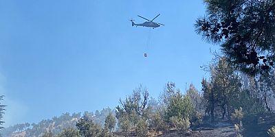 Kahramanmaraş’ta orman yangını  