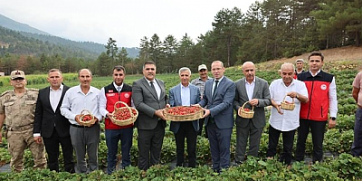 Türkoğlu Çilek Üreticileri Birliği’ne %75 Hibe ile Soğuk Hava Deposu Yapıldı