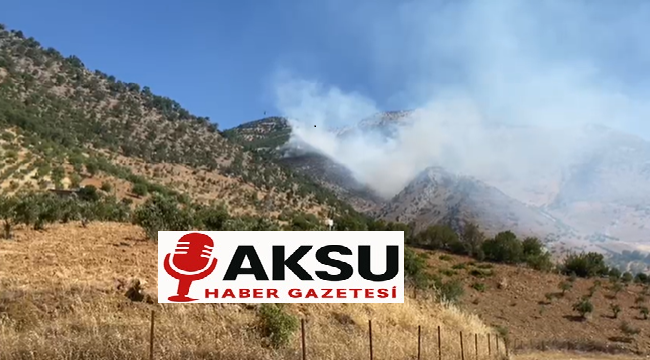 Türkoğlu’nda Orman Yangınına Havadan ve Karadan Müdahale Kahramanmaraş’ın Türkoğlu ilçesine