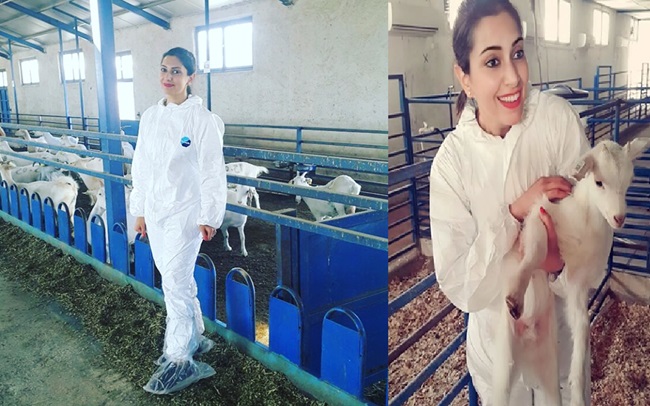 Başarılarıyla Öne Çıkan Genç Zooteknist: Elif Zorlusoy’dan Hayvancılığa Vizyoner Dokunuş