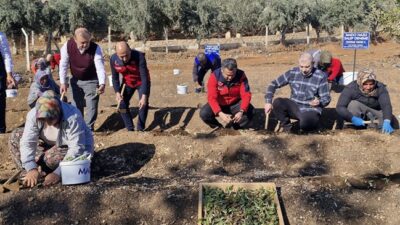 MADO’dan Çiftçiye ve Doğaya Destek: Salep Fidesi Dikimi Gerçekleşti MADO’dan