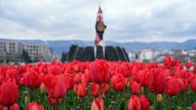 Büyükşehir Belediyesinin toprakla buluşturduğu çiçekler havaların ısınmasıyla şehre renk kattı.