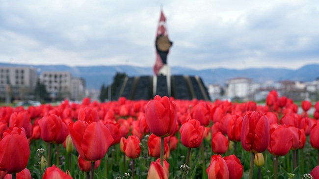 Büyükşehir Belediyesinin toprakla buluşturduğu çiçekler