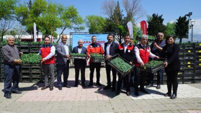 Büyükşehir Belediyesi, şehrin coğrafi işaretli ürünü olan Maraş Biberi’nin üretimini