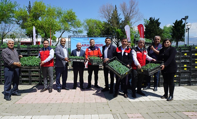 Büyükşehir Belediyesi, şehrin coğrafi işaretli ürünü olan Maraş Biberi’nin üretimini