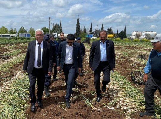 Pazarcık’ta 14 Mayıs Dünya Çiftçiler Günü dolayısıyla Narlı Mahallesi’nde sarımsak
