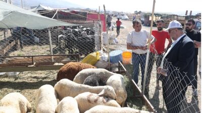 Dulkadiroğlu Belediyesi, yaklaşan Kurban Bayramı öncesinde vatandaşların huzurlu, sağlıklı ve