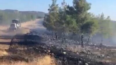 Gaziantep’in Nurdağı ilçesine bağlı Kırkpınar Mahallesi kırsalında çıkan orman yangını,