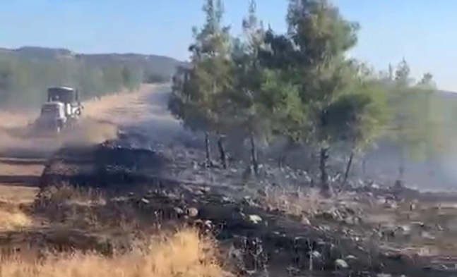 Gaziantep’in Nurdağı ilçesine bağlı Kırkpınar Mahallesi kırsalında çıkan orman yangını,