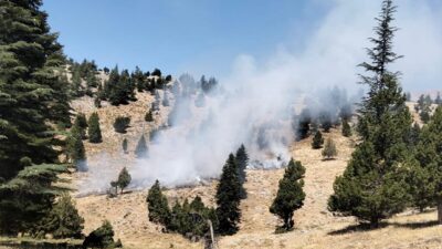 Kahramanmaraş’ın Göksun ve Onikişubat ilçelerinde çıkan iki ayrı orman yangını,