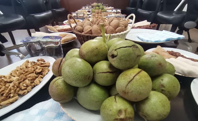 Kahramanmaraş’ta geçen yıl zirai don