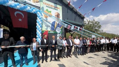 Bertiz Cevizinde Yeni Dönem Başladı: Üreticinin Alın Terine Değer Katacak