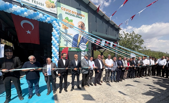Bertiz Cevizinde Yeni Dönem Başladı: