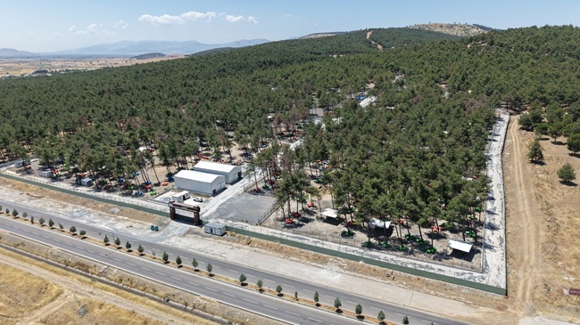Büyükşehir ve Sahipsiz Hayvanları Koruma